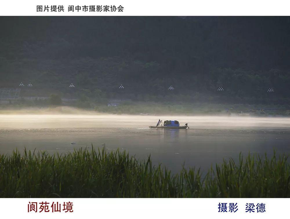 逗小猴开心系列191
