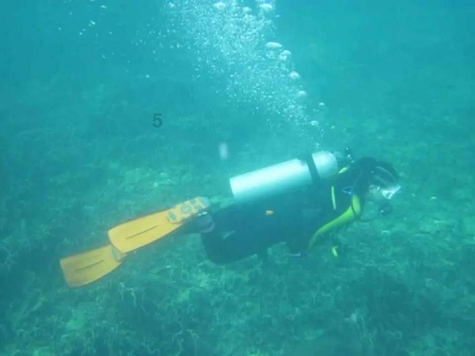 全员化身“小迷妹”，这一次，胡歌的内娱实力，全被王家卫猜对了
